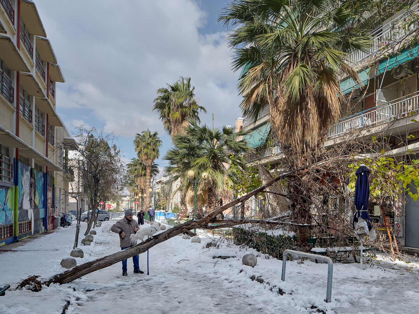 T. S. I. O. D. D S F1000