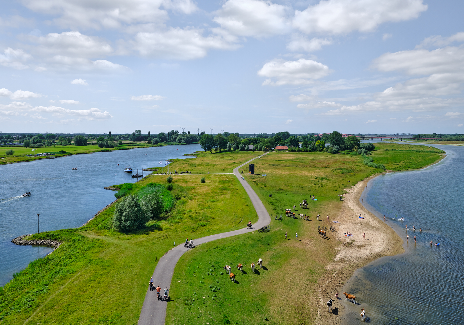 Kleineveer