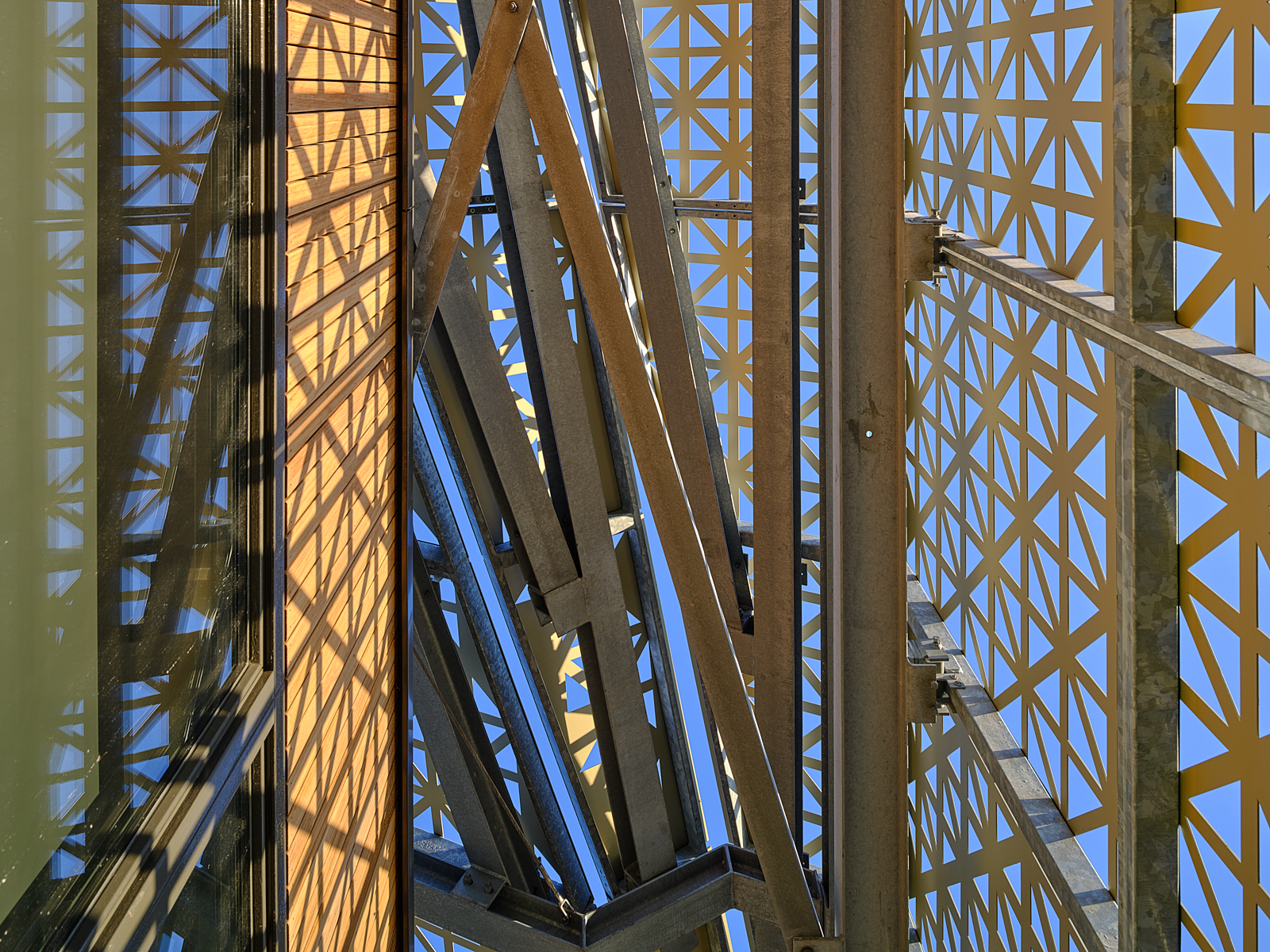 ©Studiohanswilschut D S F8208