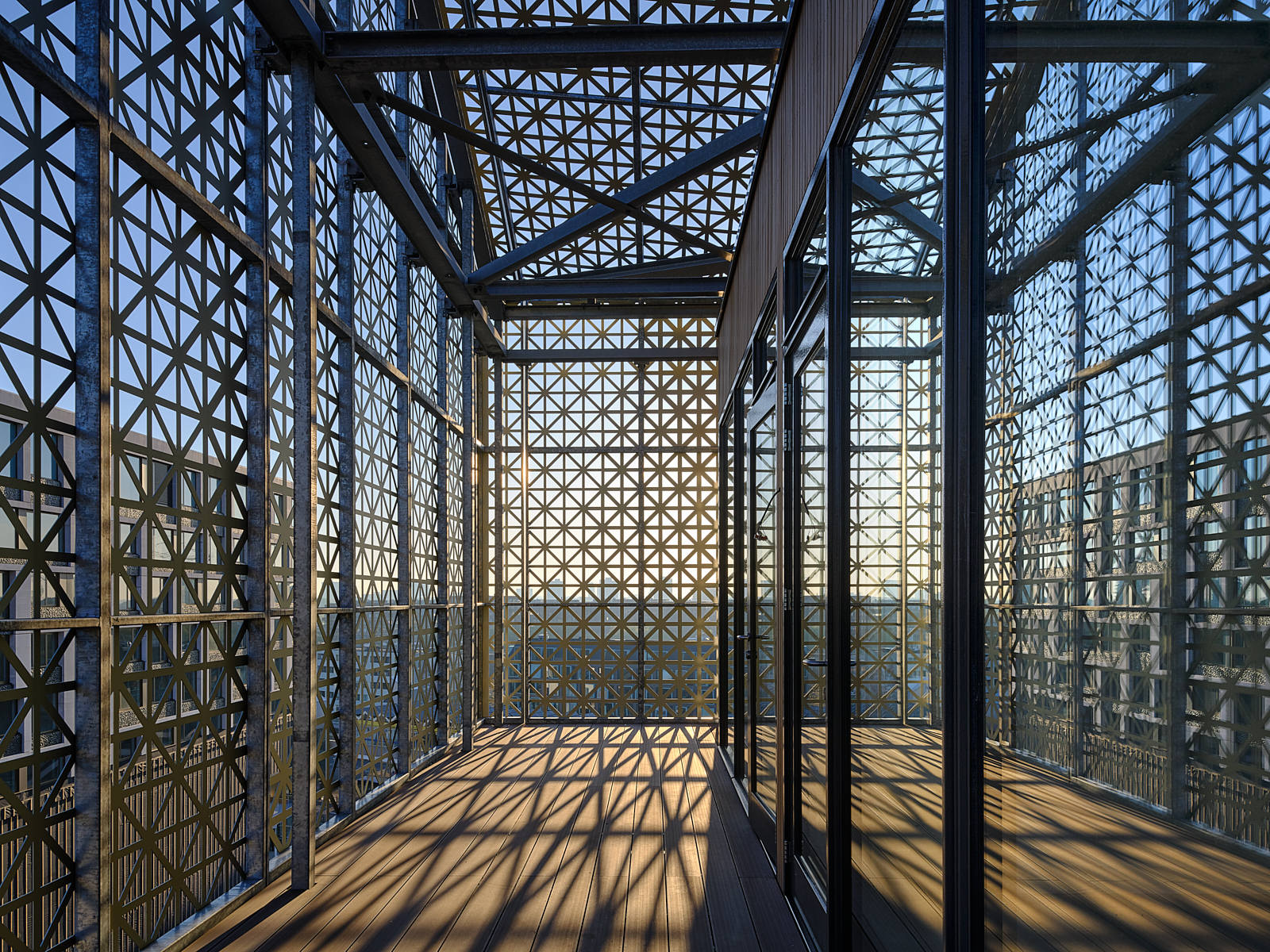 ©Studiohanswilschut D S F8201