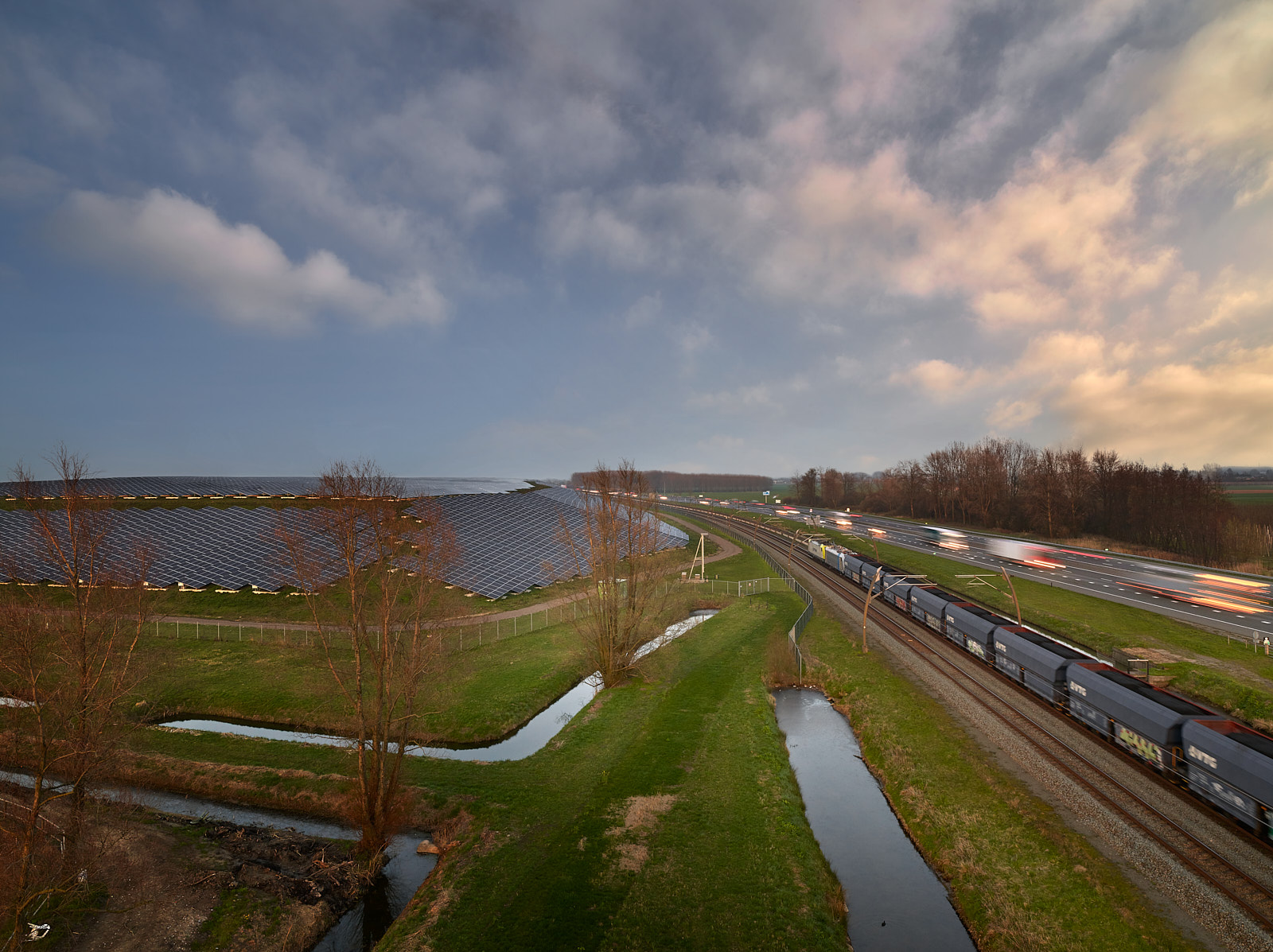 ©Studiohanswilschut C F004443