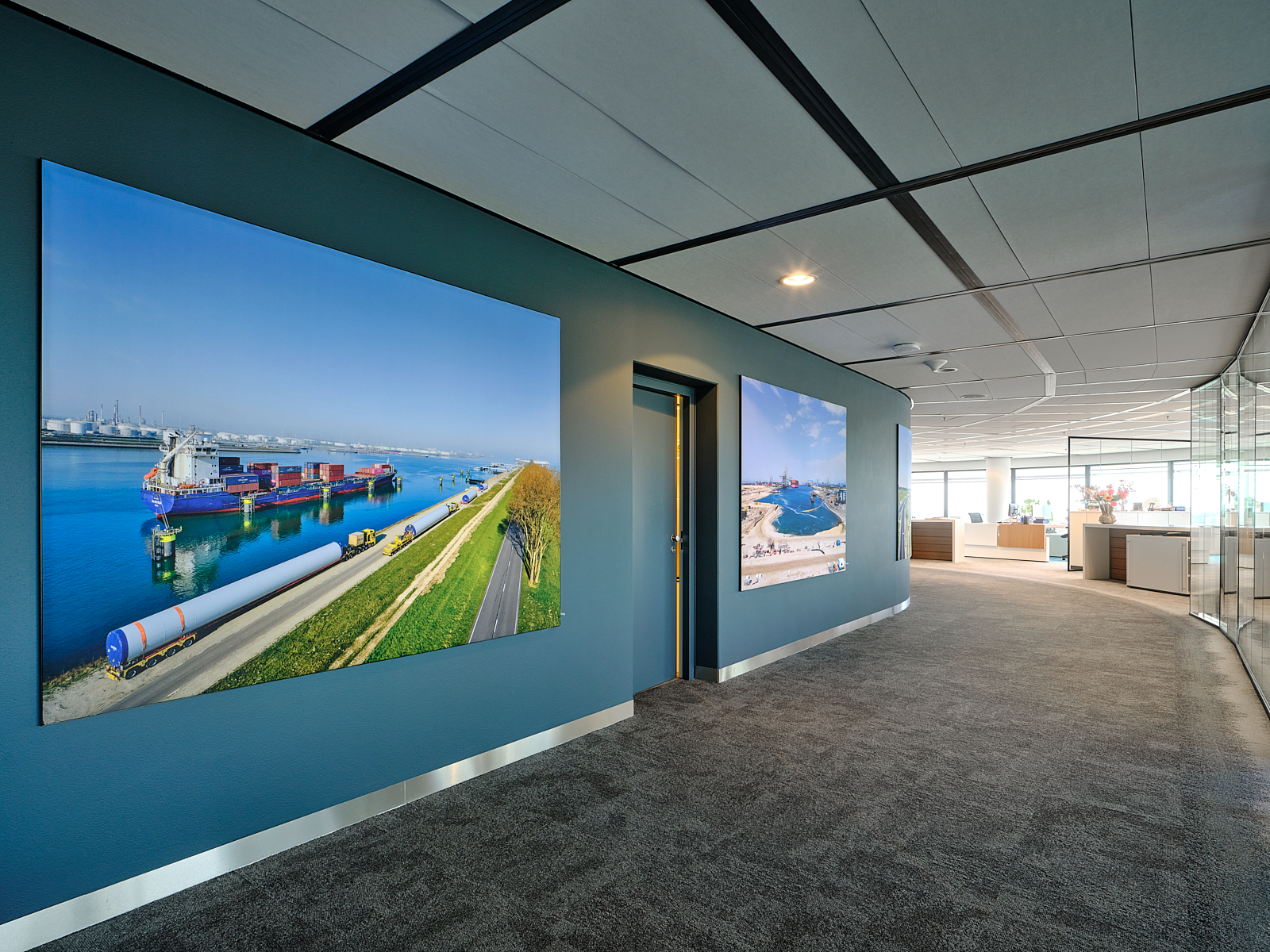 D S F8813