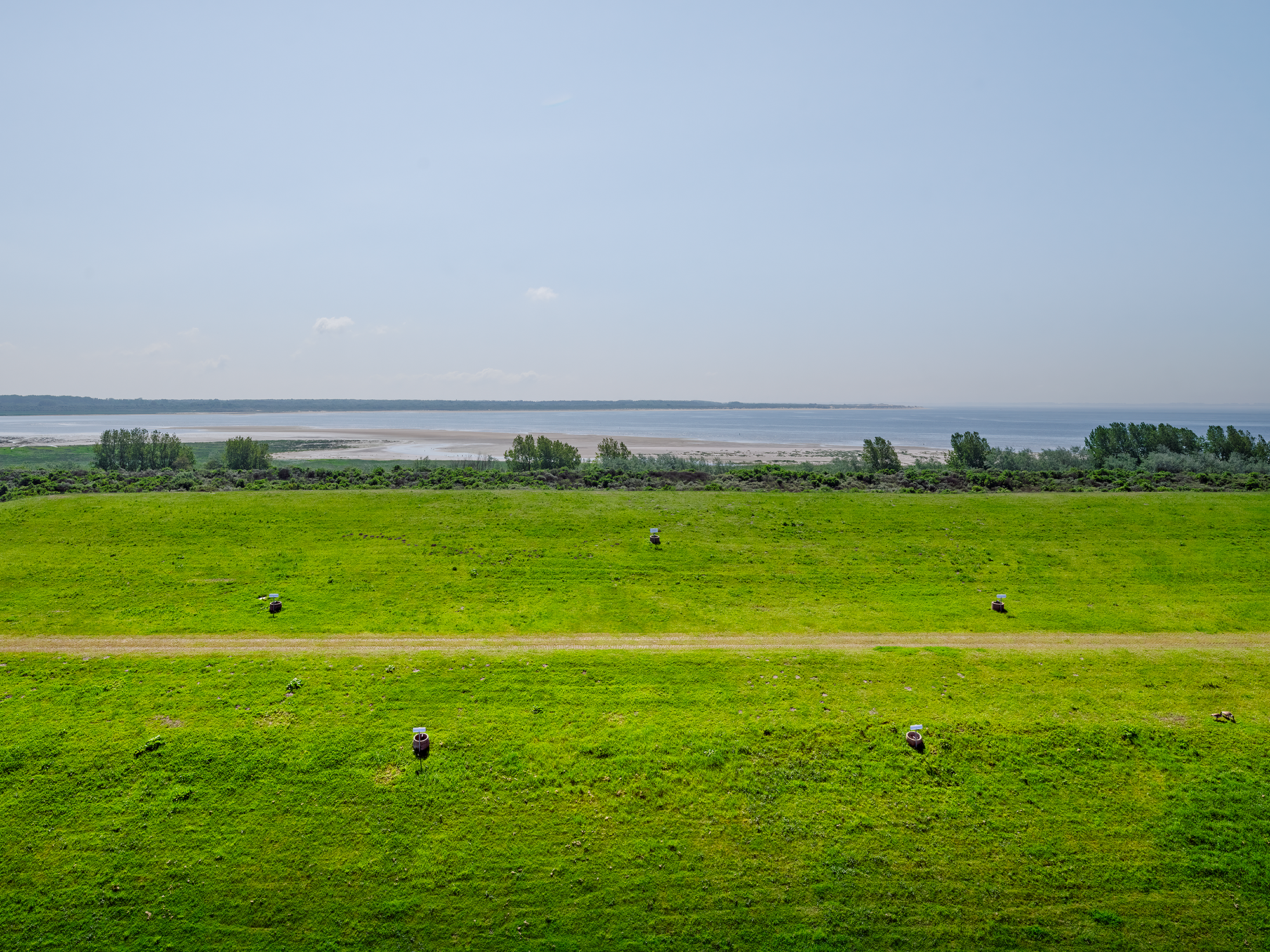 A Second Nature
