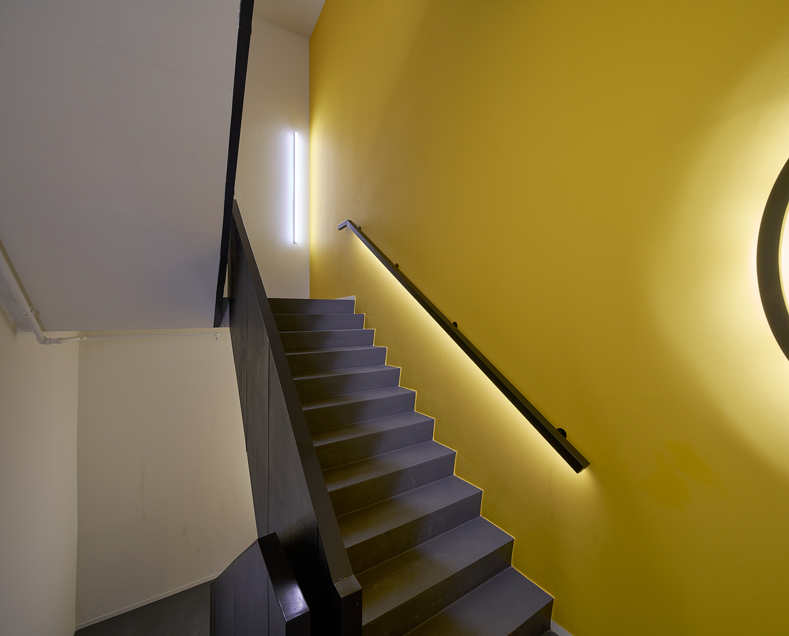 ©Studiohanswilschut D S C4746