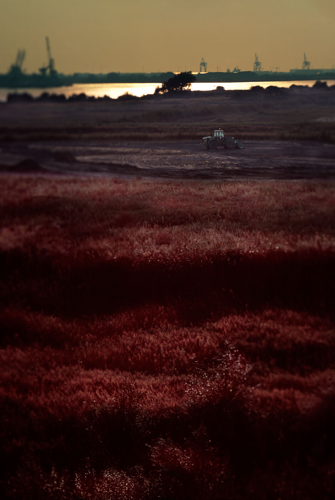 _blanket