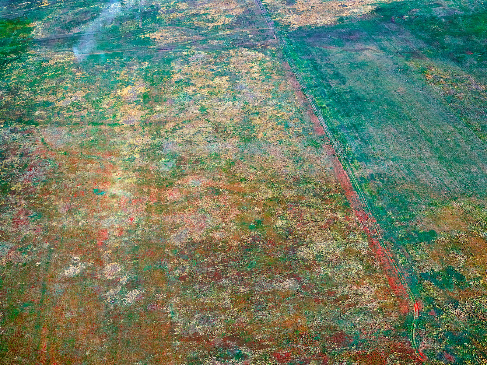 carpet