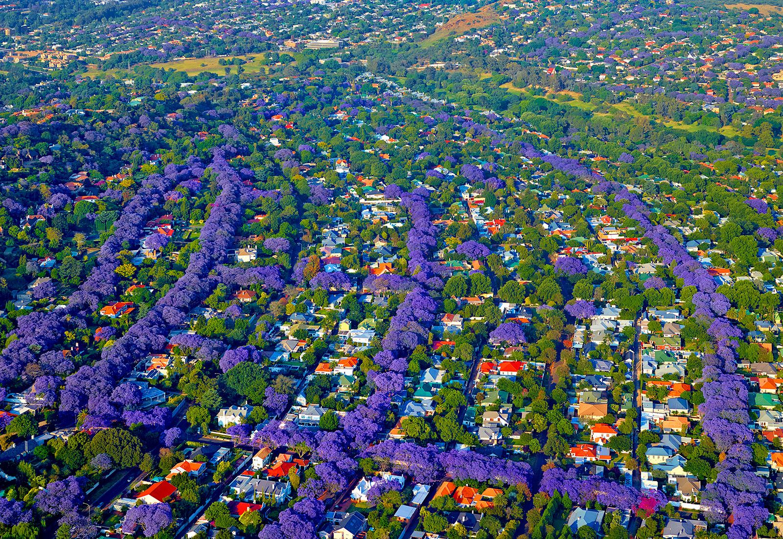 parkview