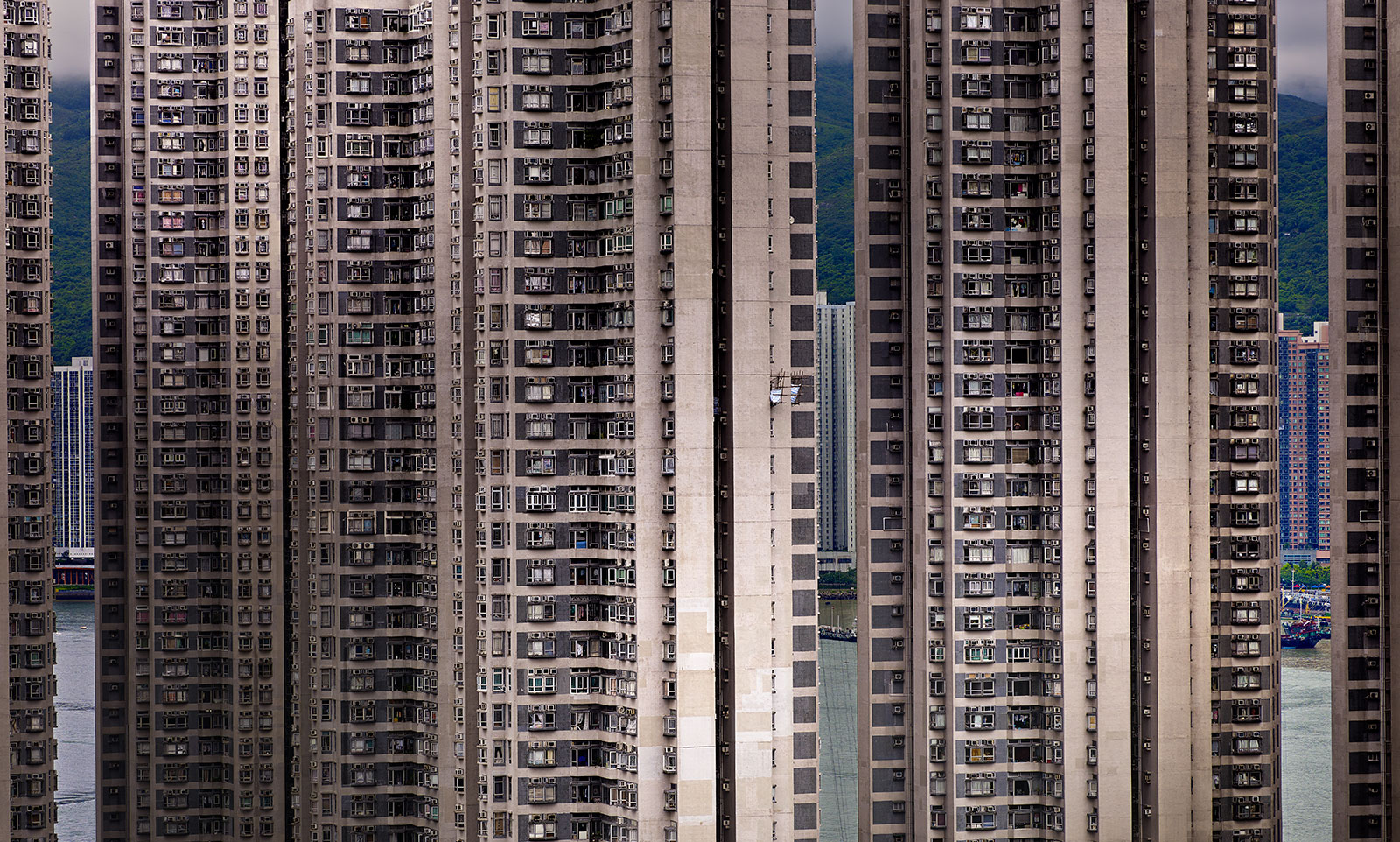consealedlandscape