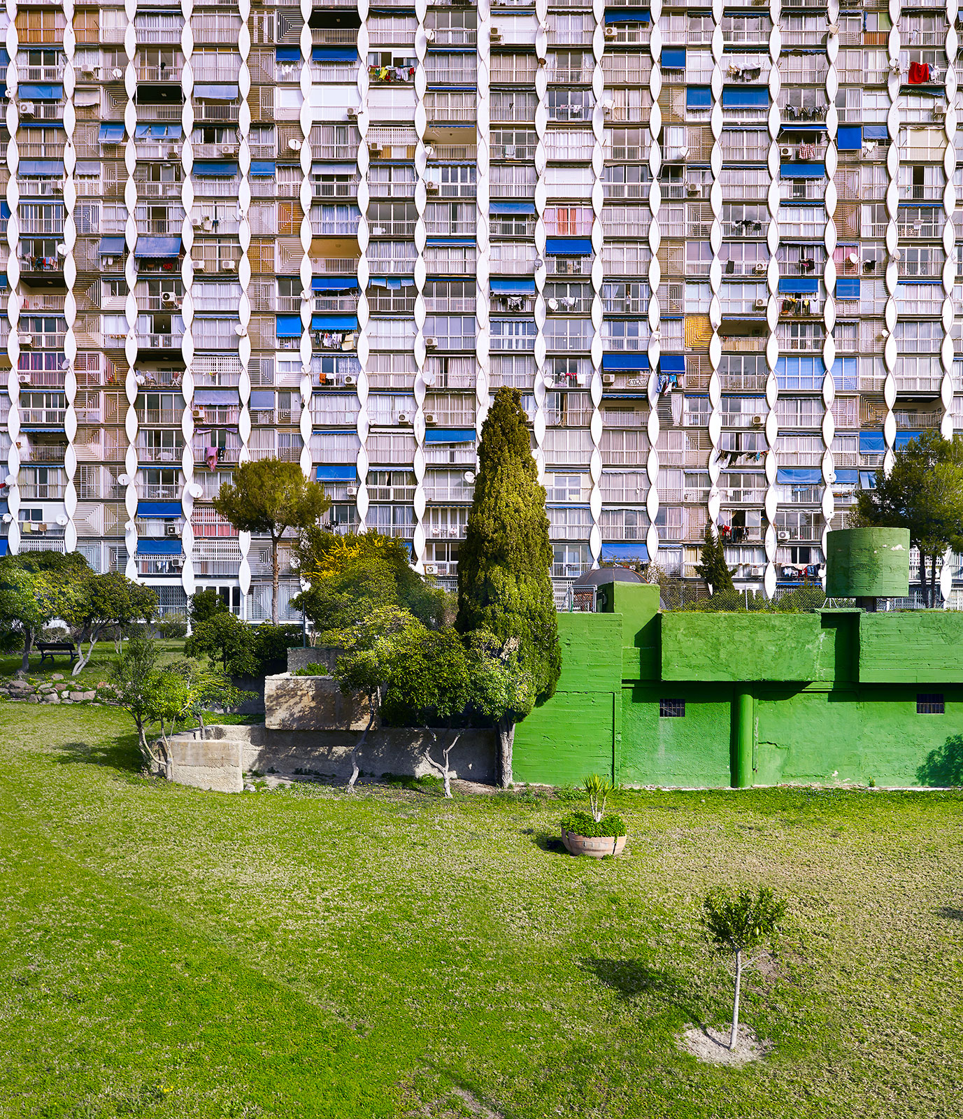 bonsaibunker