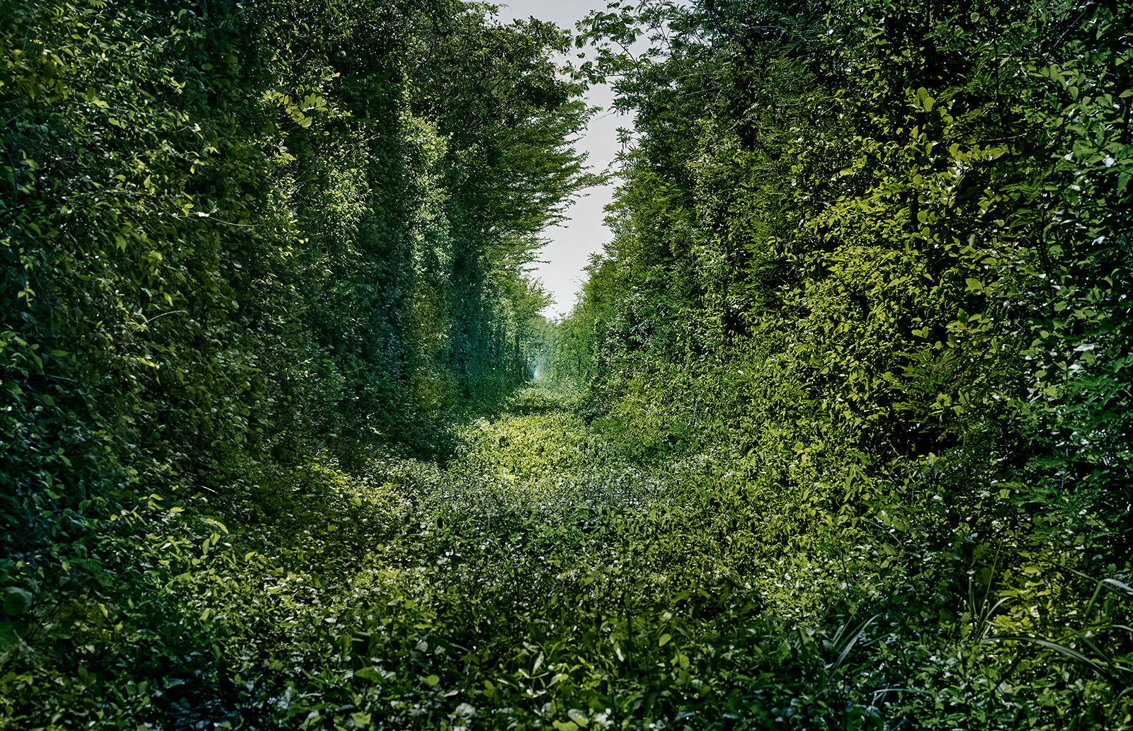 track