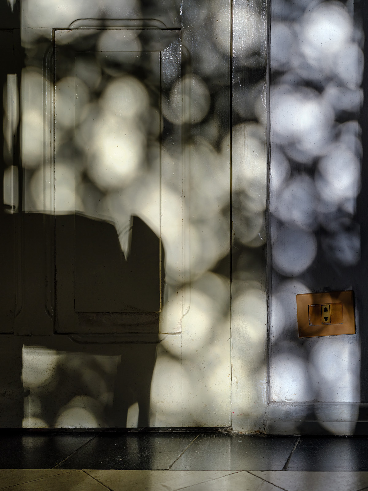 Nocturnalroom