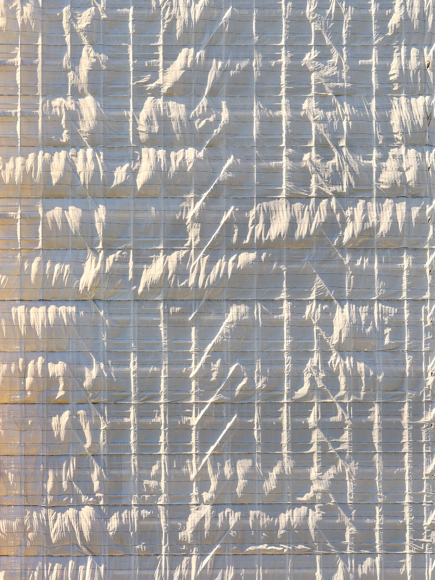 Breathing Grid
